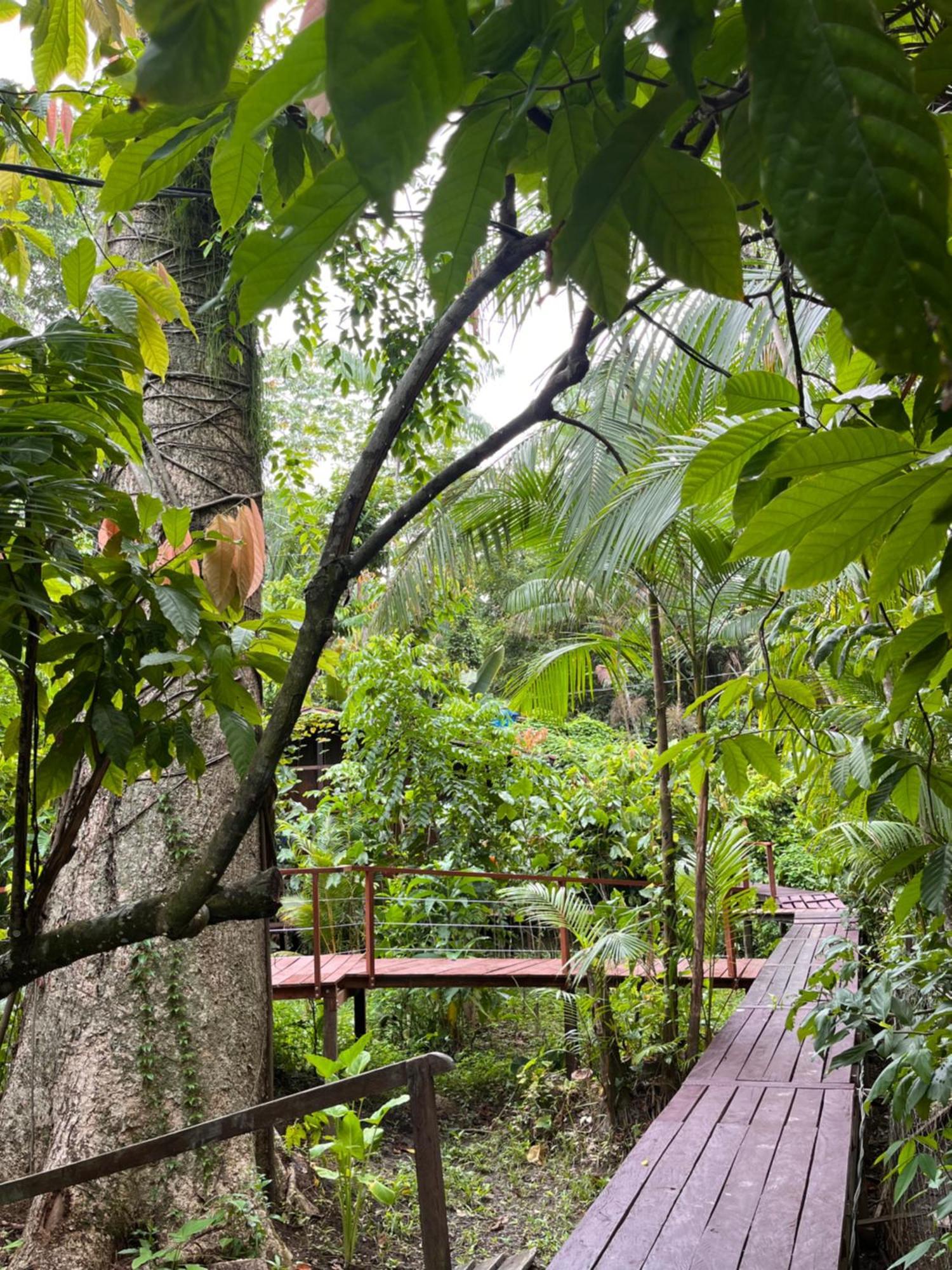 בלם Olaria River Hostel מראה חיצוני תמונה