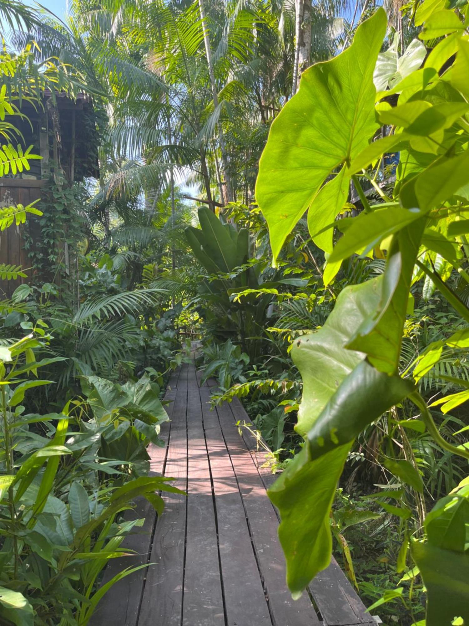 בלם Olaria River Hostel מראה חיצוני תמונה