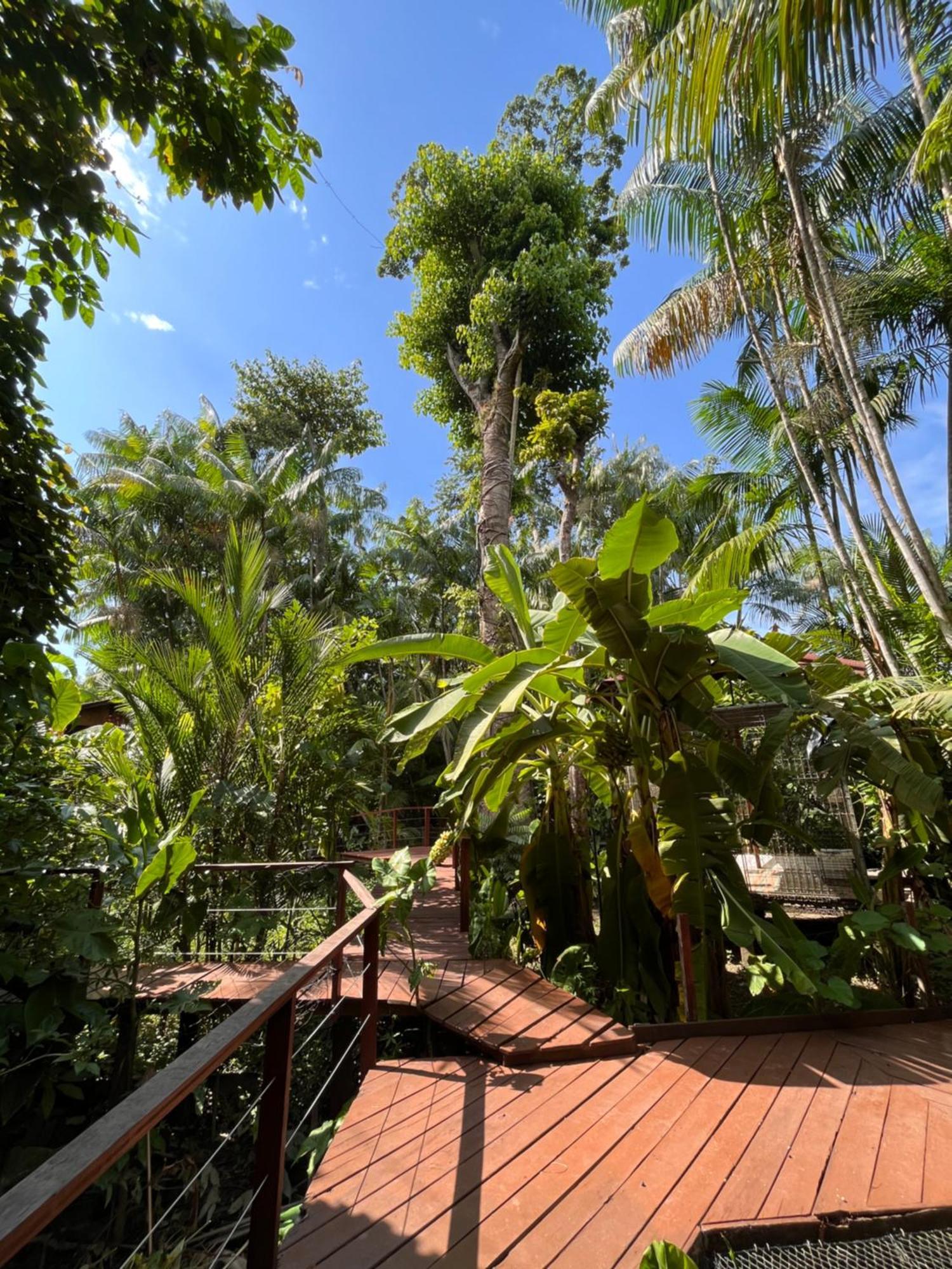 בלם Olaria River Hostel מראה חיצוני תמונה