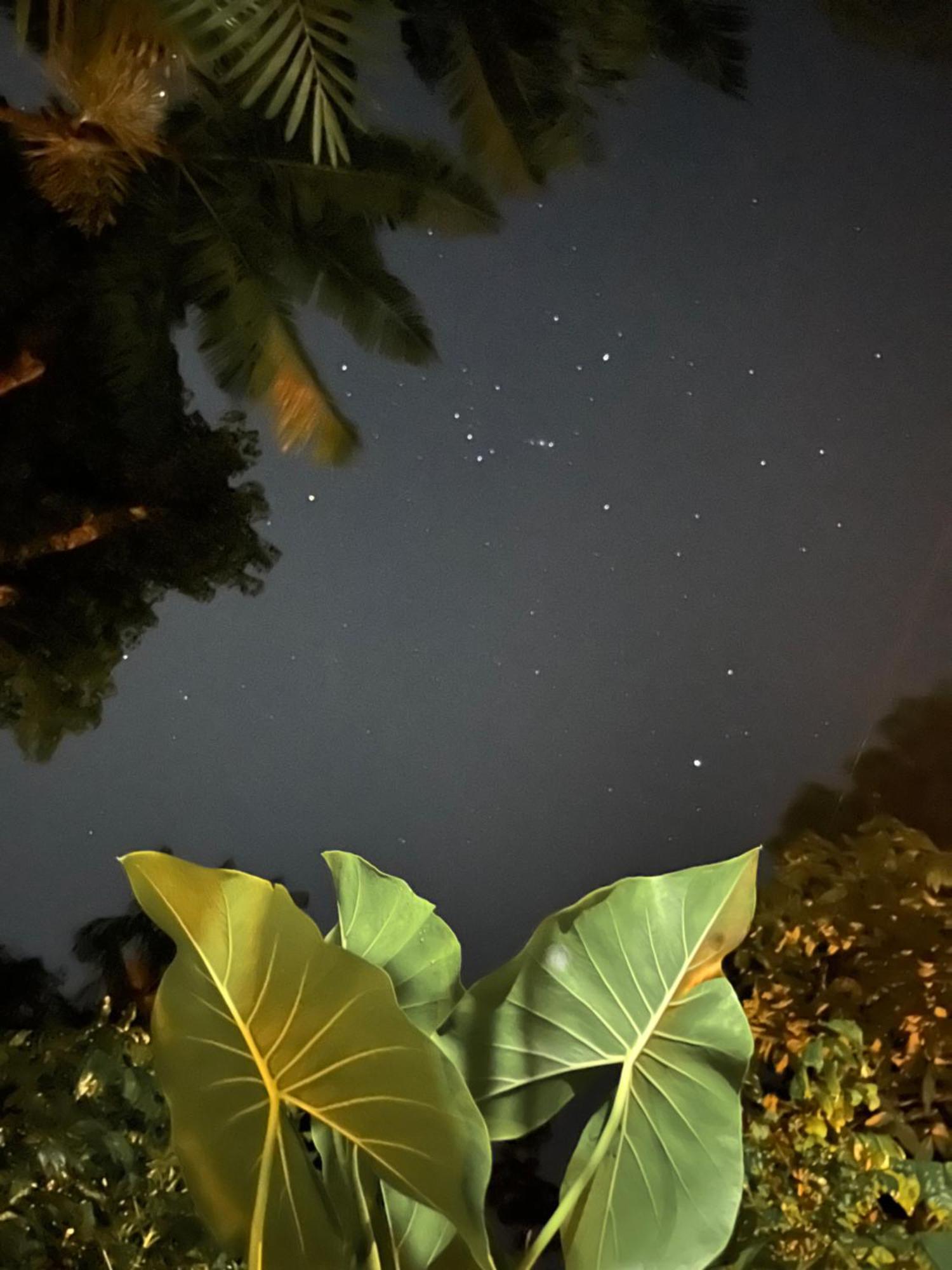 בלם Olaria River Hostel מראה חיצוני תמונה